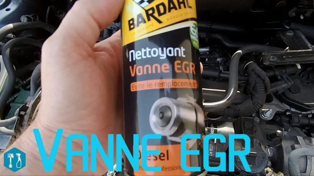 Cleaner EGR valve