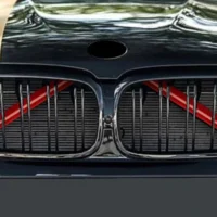 bmw grille trim red