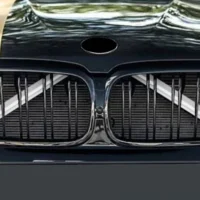 bmw white grille trim