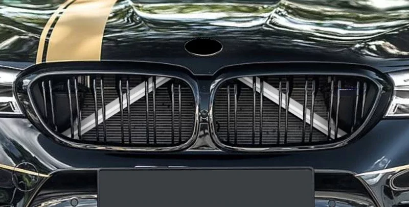 bmw white grille trim