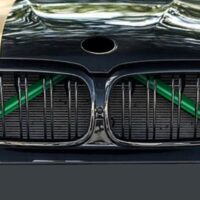 green bmw grille trim