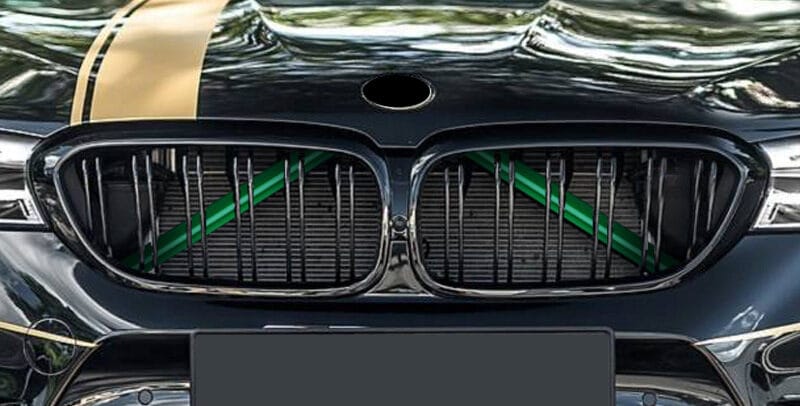 green bmw grille trim