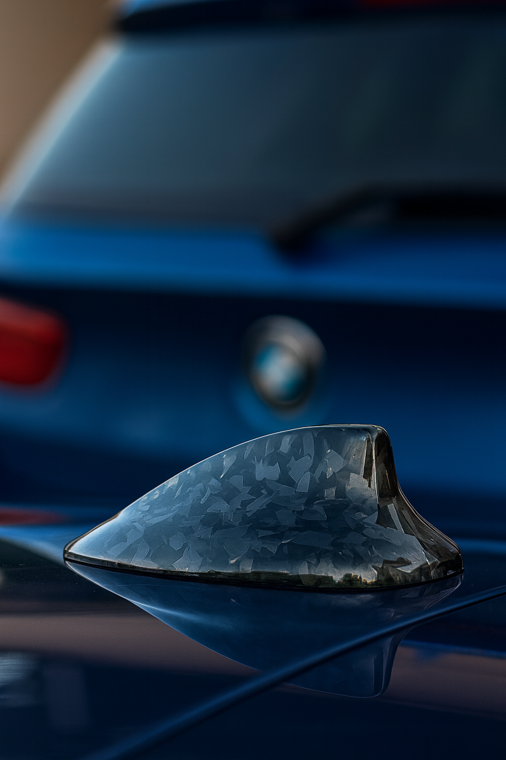 Antenne requin Fibre de carbone