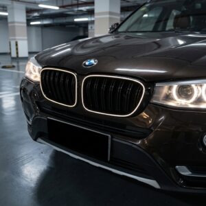 BMW X3 F25 Phase 2 LED Grille with Iconic Glow BMW X3 F25 Phase 2 LED Grille with Iconic Glow